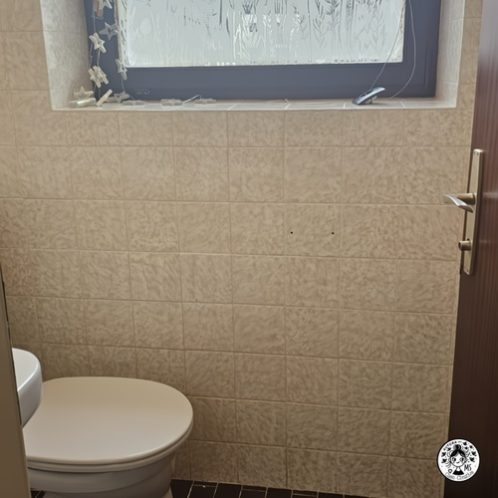 Aseo pequeño con azulejos antiguos antes de la reforma.