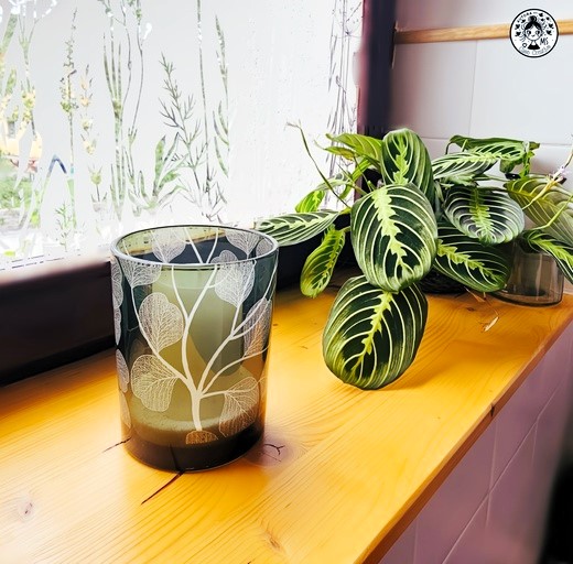 Ventana decorada con portavelas de cristal verde y planta tropical en aseo reformado.